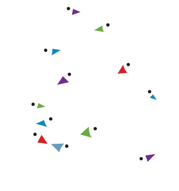 Birds V1 - Possabilities